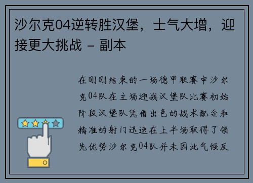 沙尔克04逆转胜汉堡，士气大增，迎接更大挑战 - 副本